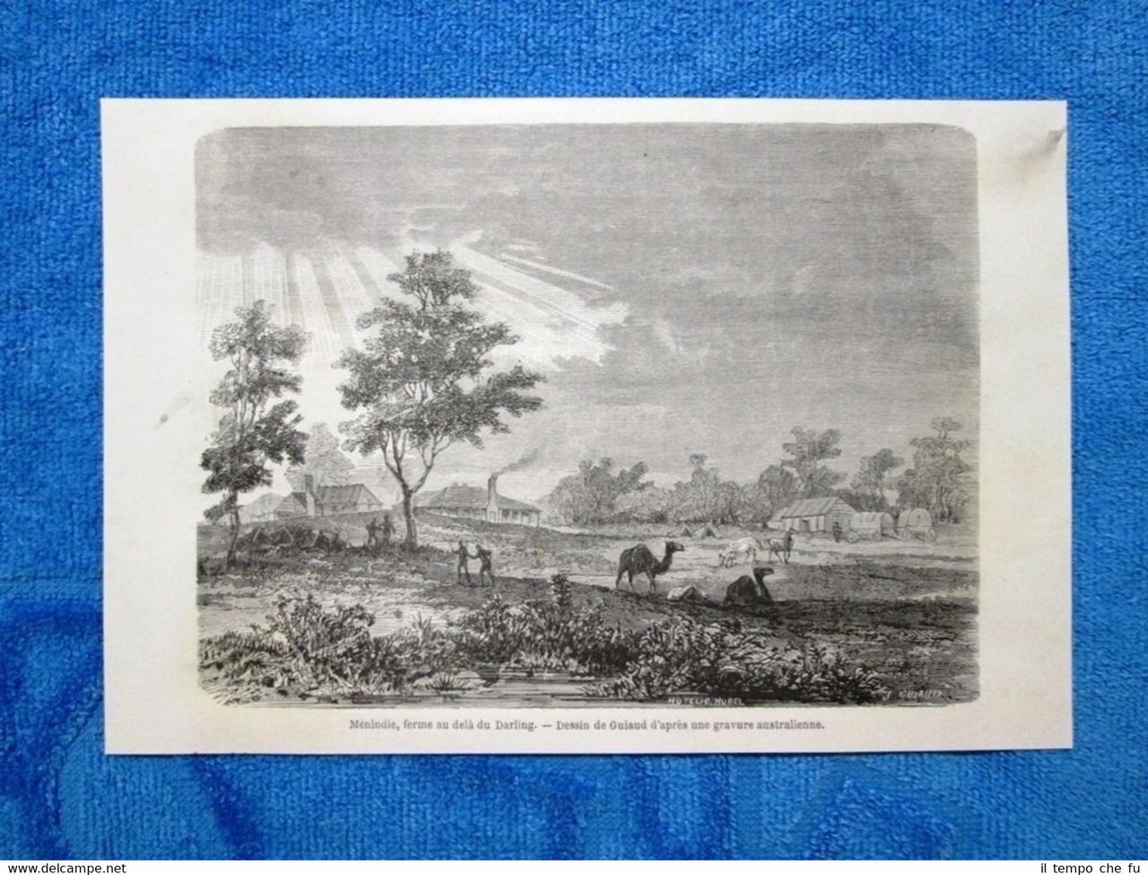 Gravure Année 1862 - Menindie, ferme au delà du Darling … | Immagine principale