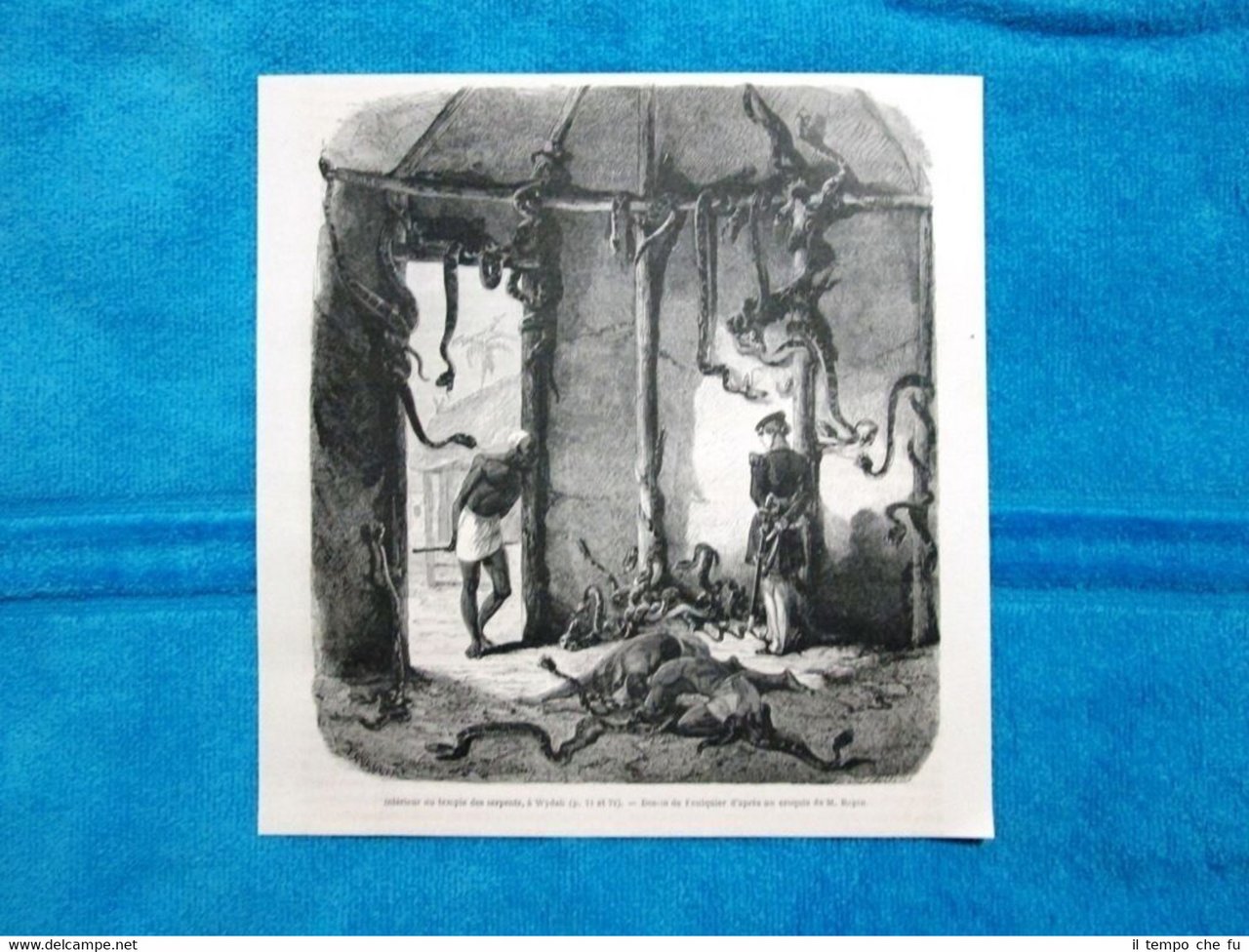 Gravure Année 1863 - Interieur du temple des serpents - … | Immagine principale