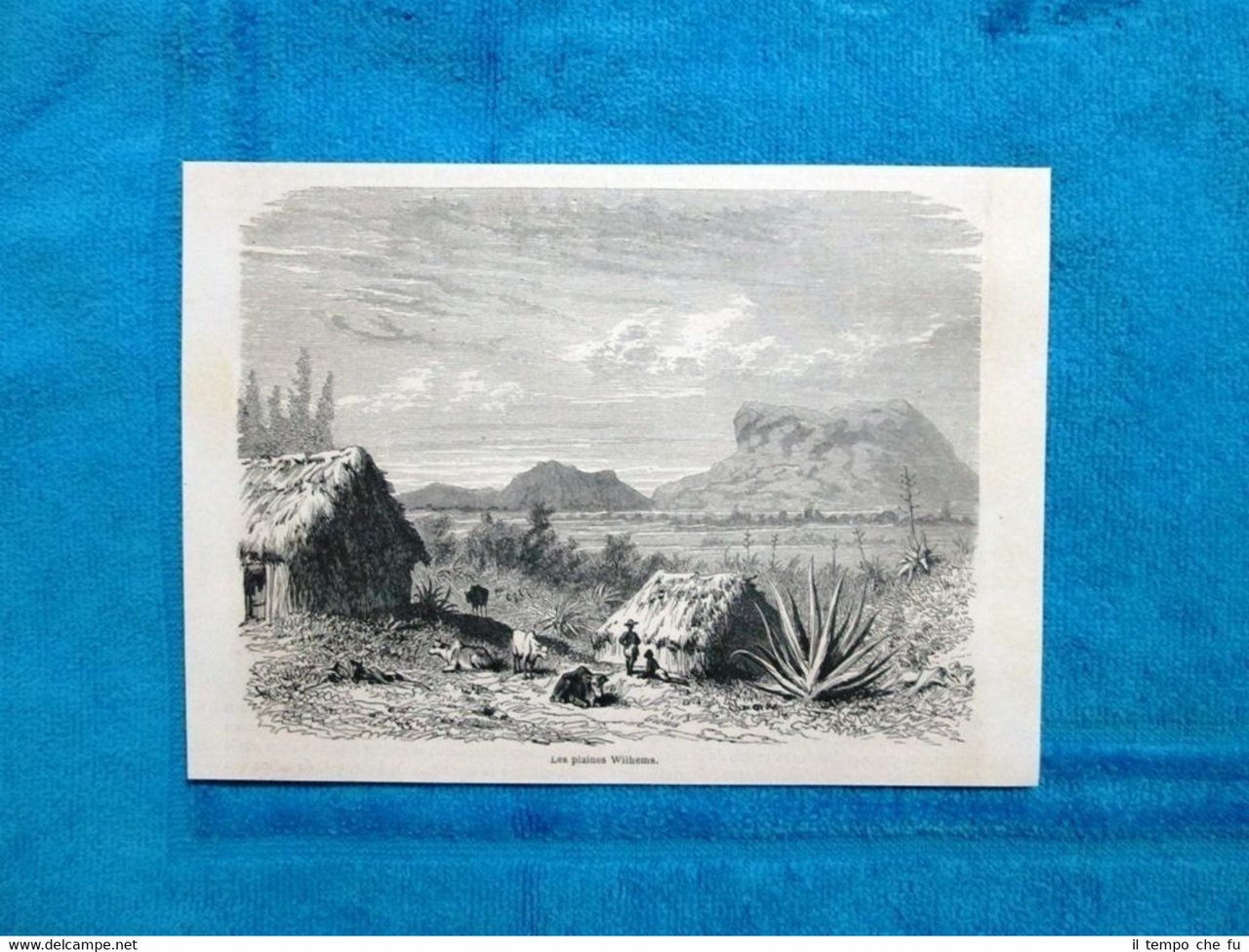 Gravure Année 1863 - Les plaines Wilhems - Le pianure … | Immagine principale