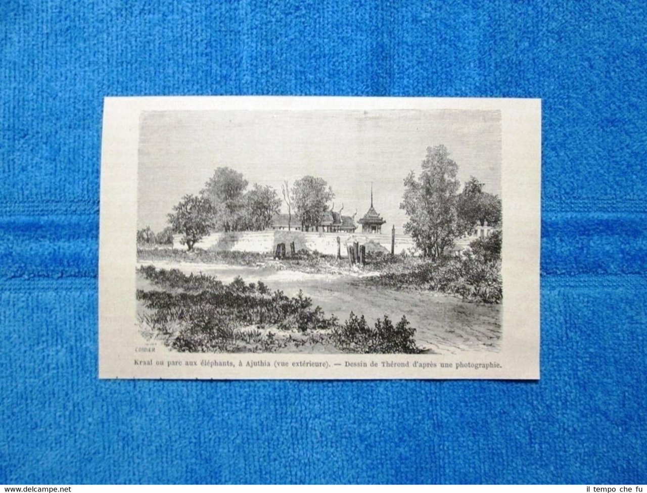 Gravure Année 1863 - Parc aux éléphants d'Ayutthaya - Parco …