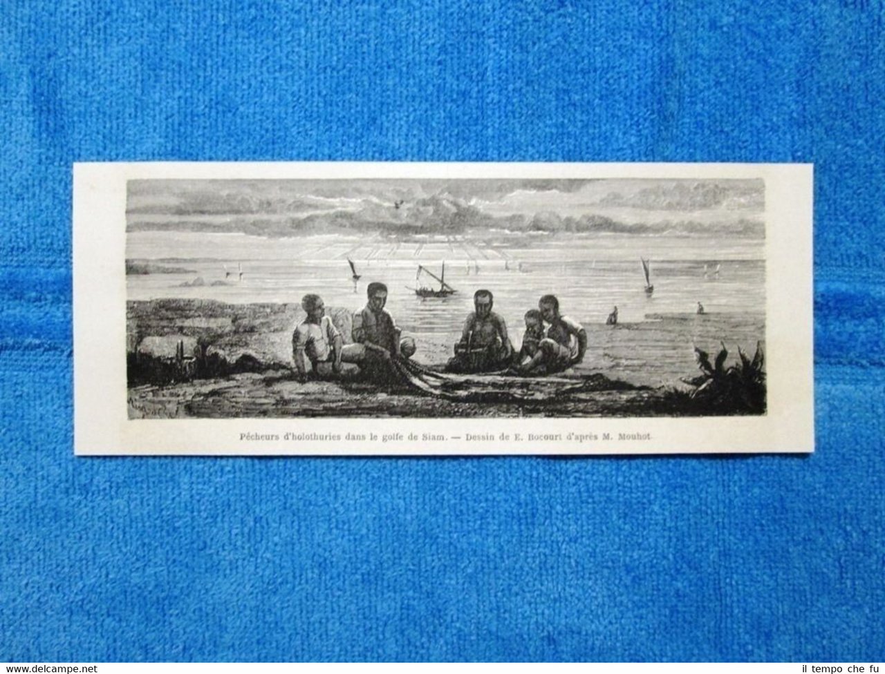 Gravure Année 1863 - Pecheurs d'holothuries,Siam - Pescatori di cetrioli …