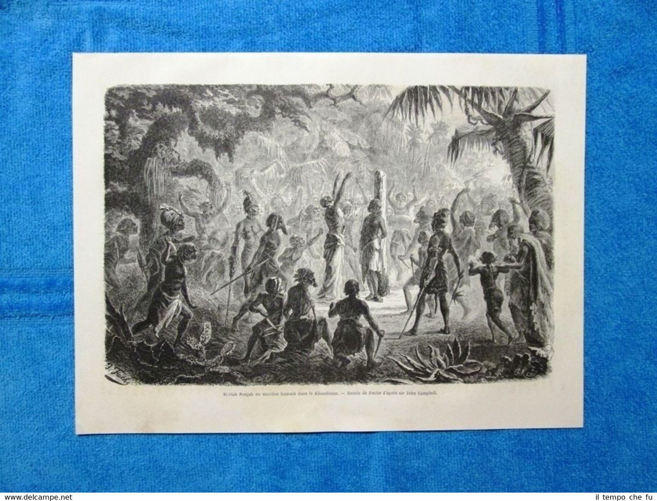 Gravure Année 1864 - Sacrifice humain dans le Khondistan - …