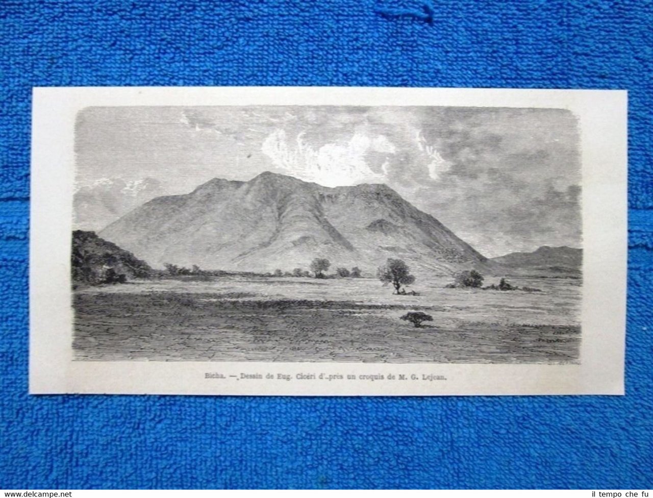 Gravure Année 1865 - Bicha | Immagine principale