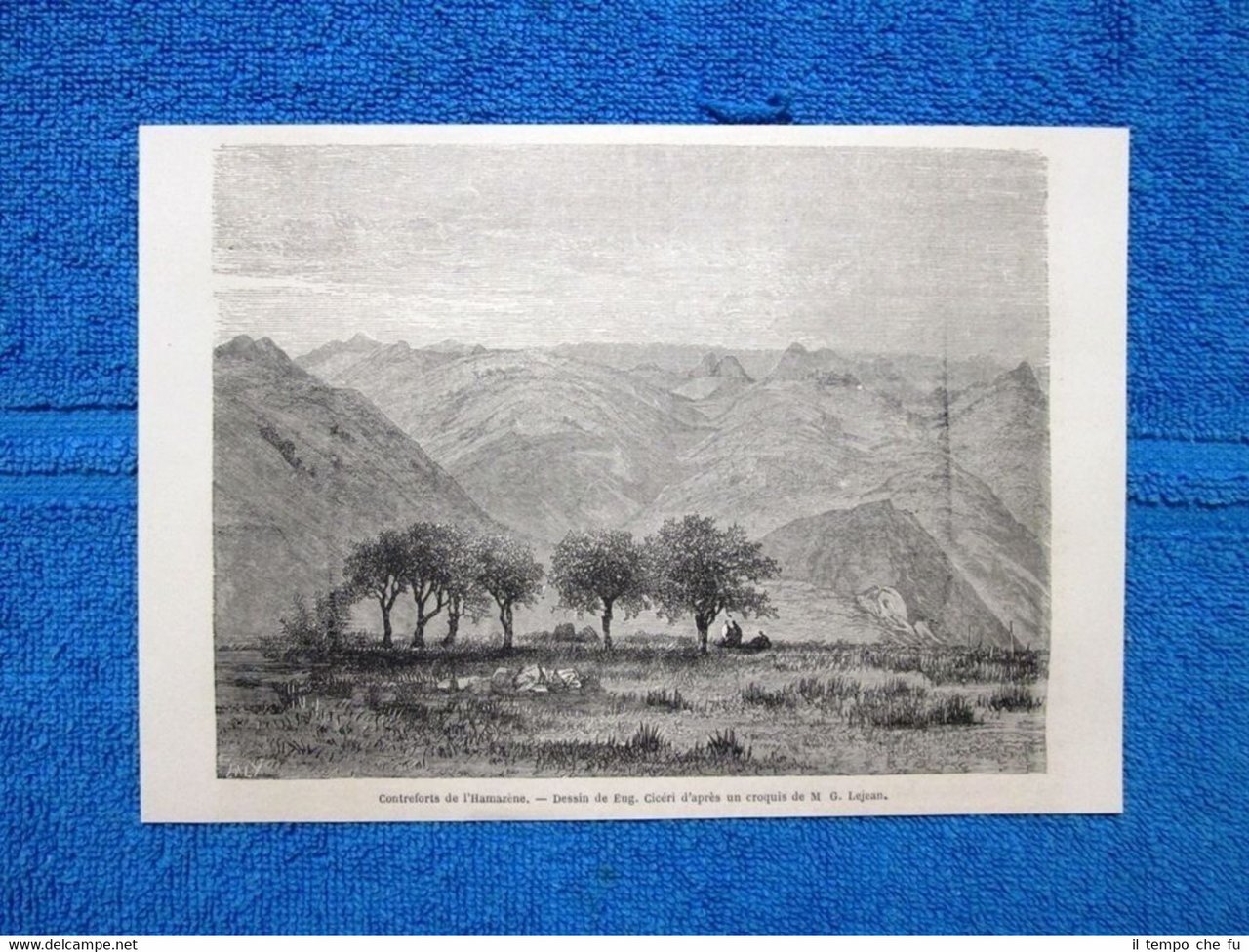 Gravure Année 1865 - Contreforts de l'Hamazène - Colline de …