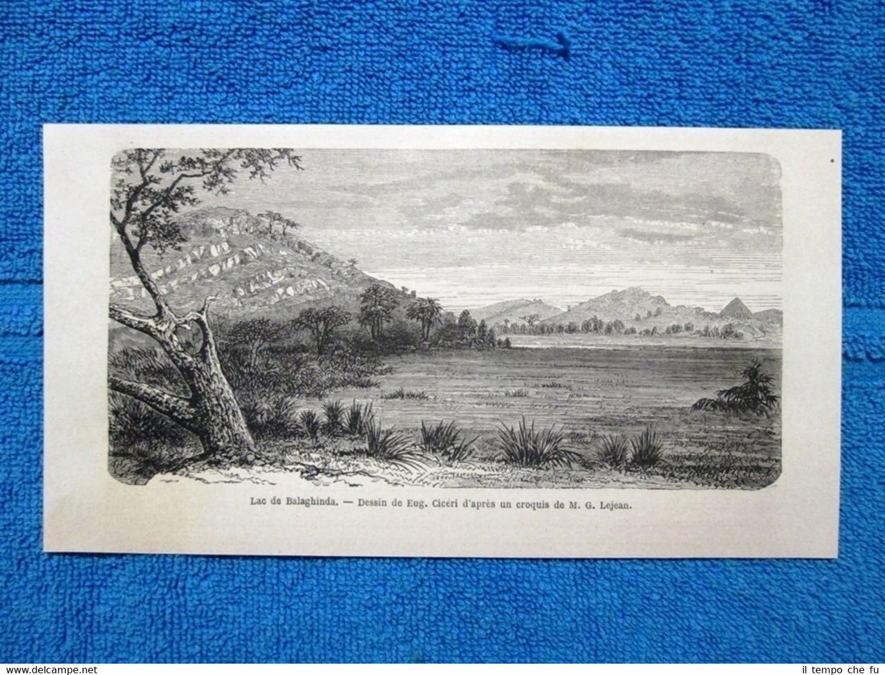 Gravure Année 1865 - Lac de Balaghinda (Nubie) - Lago … | Immagine principale