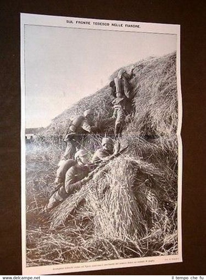 Guerra Europa Anno 1914 Ypres Avamposti tedeschi Belgio + von … | Immagine principale