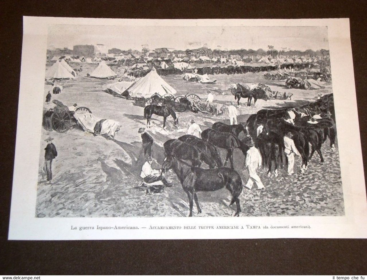 Guerra Ispanico - Americana nel 1898 Accampamento americano a Tampa
