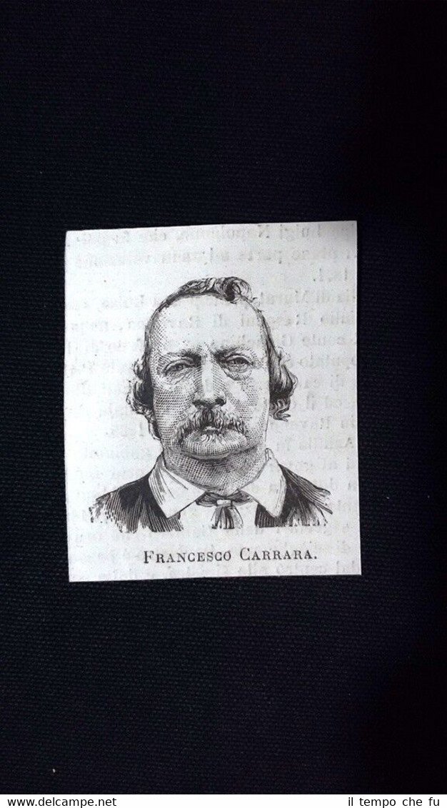 I nuovi Senatori 1876: Francesco Carrara Incisione del 1876