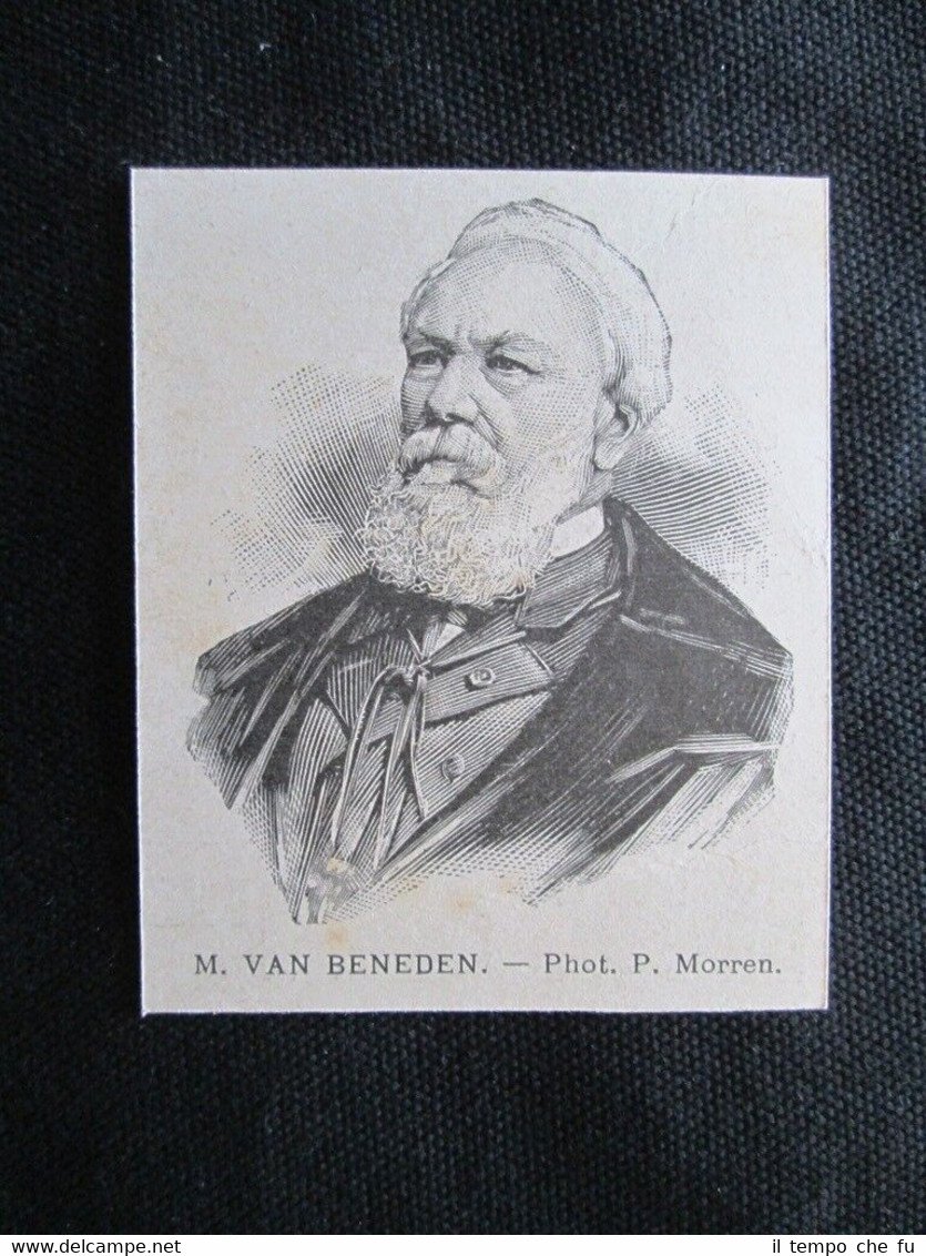 Il biologo belga Edouard Van Beneden Incisione del 1894