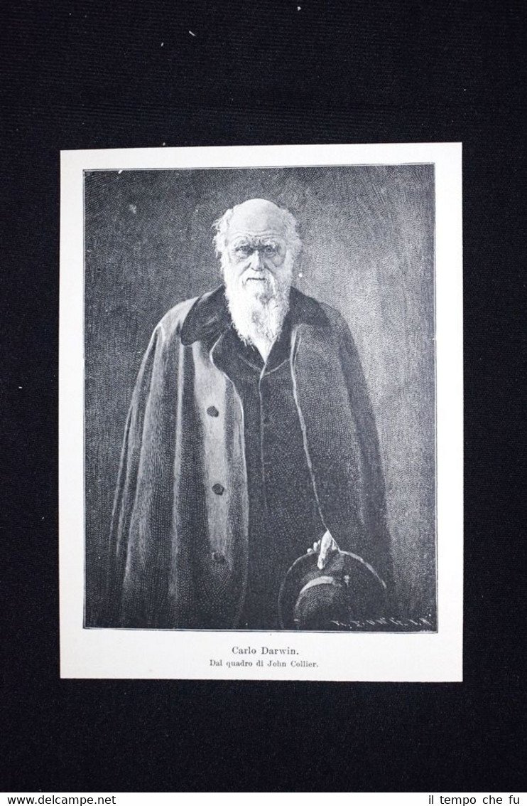 Il biologo e naturalista britannico Charles Darwin