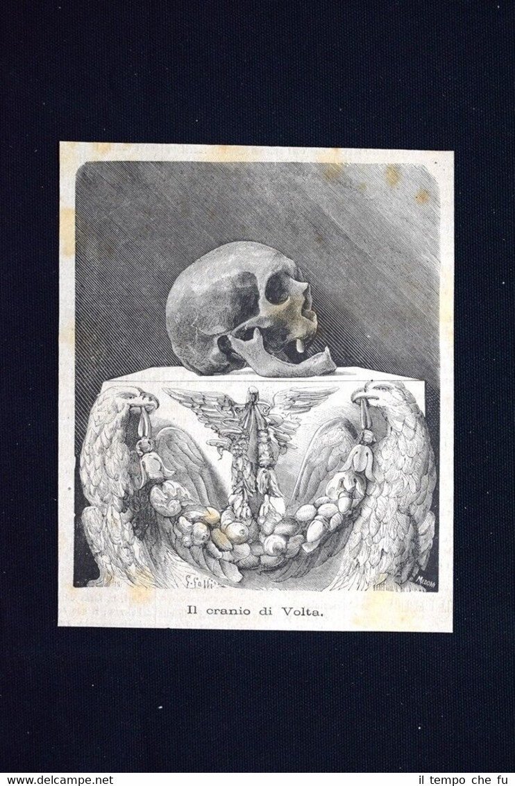 Il cranio di Volta Incisione del 1875