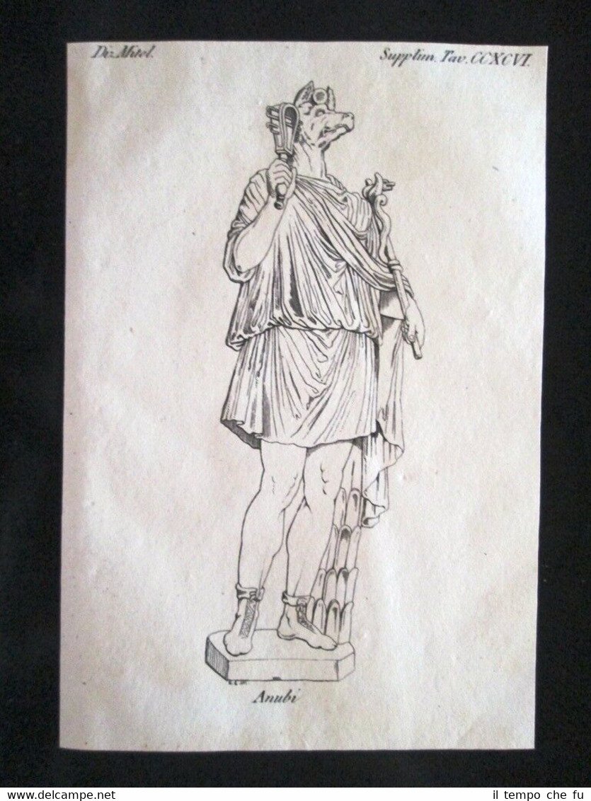 Il dio Anubi, Egitto Incisione all'acquaforte del 1820 Mitologia Pozzoli