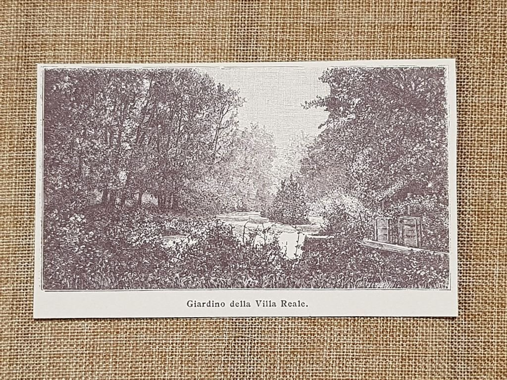 Il giardino della Villa Reale nell'800 Monza Lombardia | Immagine principale