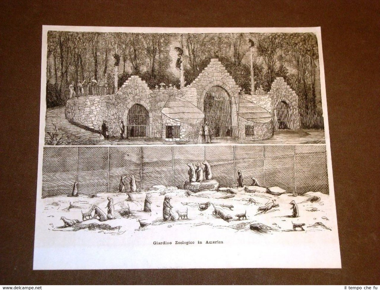 Il giardino zoologico d'America nel 1878 Stati Uniti d'America o …