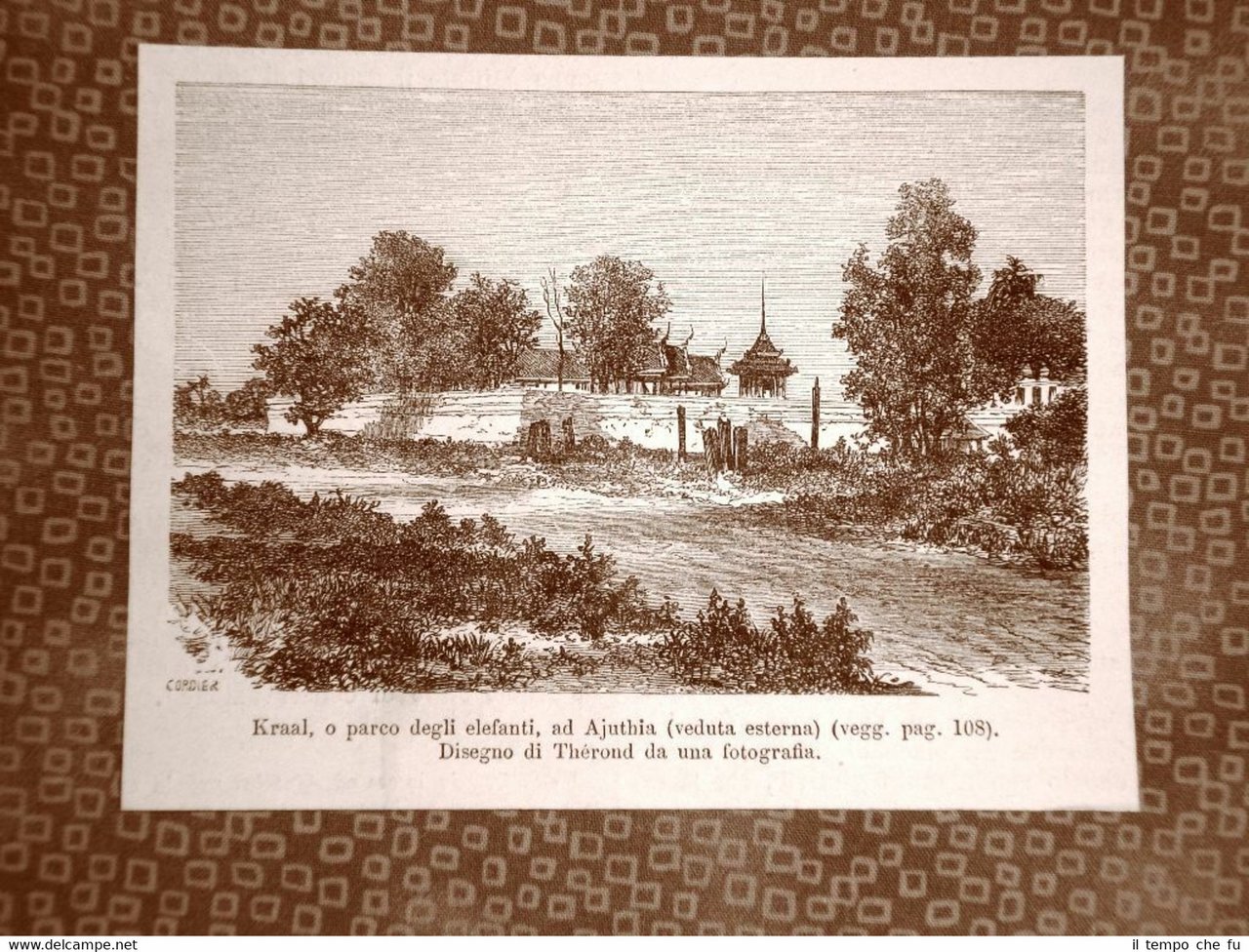 Il Kraal o Parco degli elefanti nel 1863 Ayutthaya o …