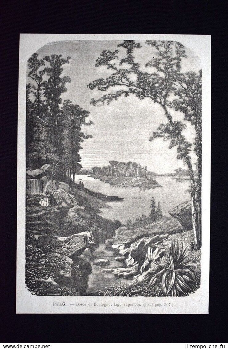 Il lago superiore del Bosco di Boulogne, a Parigi Incisione …