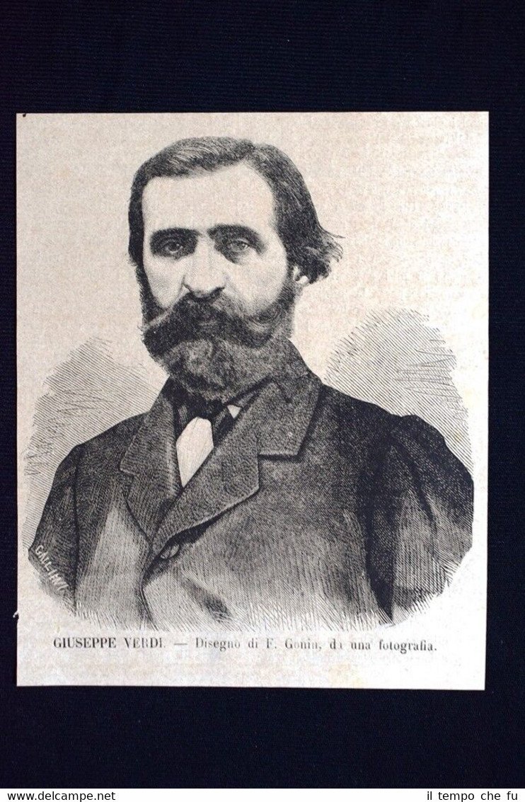 Il Maestro Giuseppe Verdi - Disegno di F. Gonin Incisione …