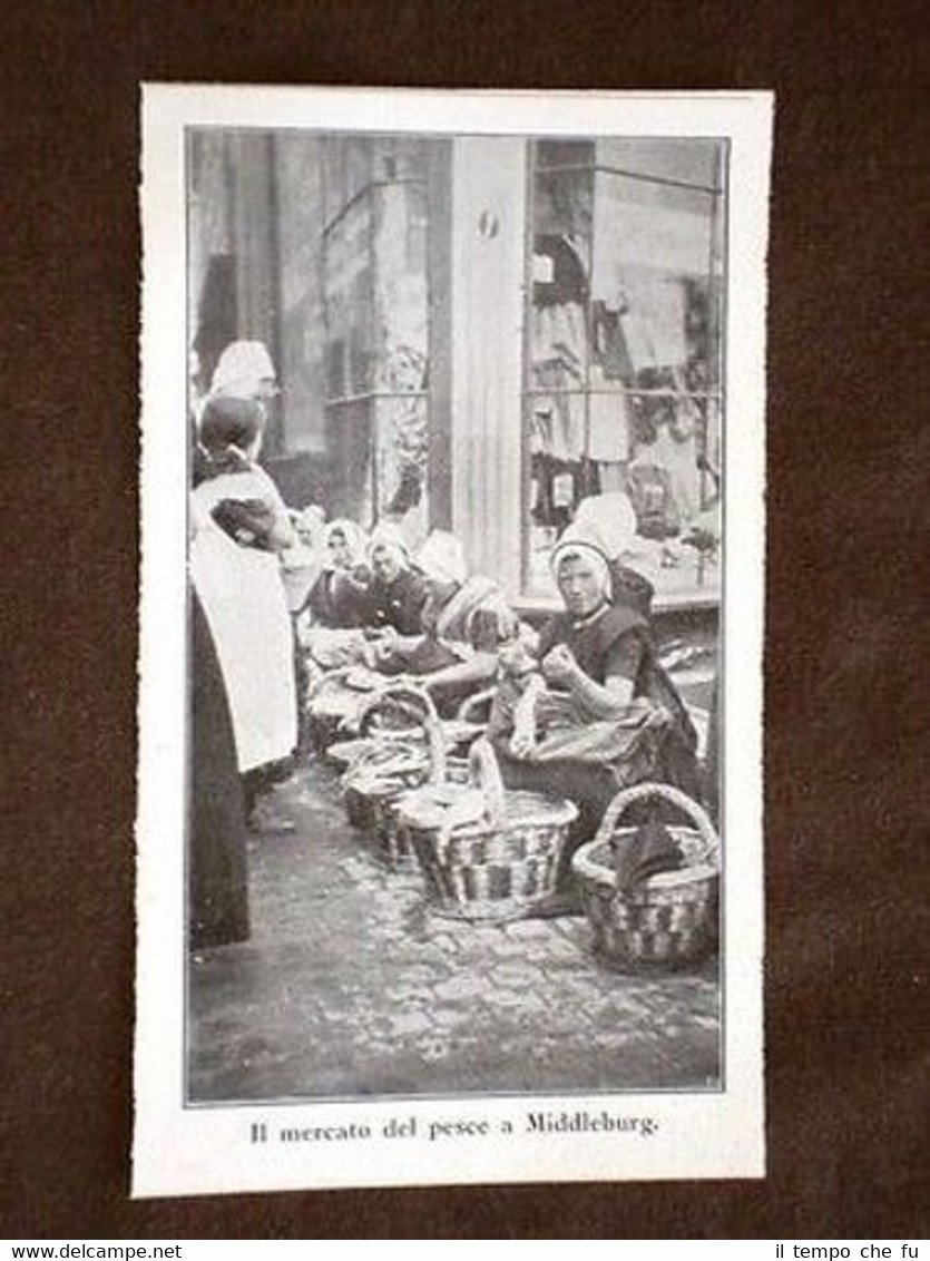 Il mercato del pesce a Middleburg