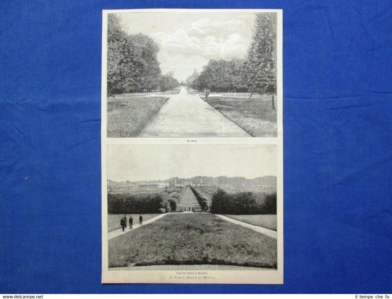 Il Parco Reale di Monza nel 1889: La Stella - …