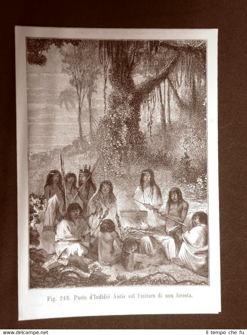 Il pasto presso gli Indiani Antis nel 1883 Moda e … | Immagine principale