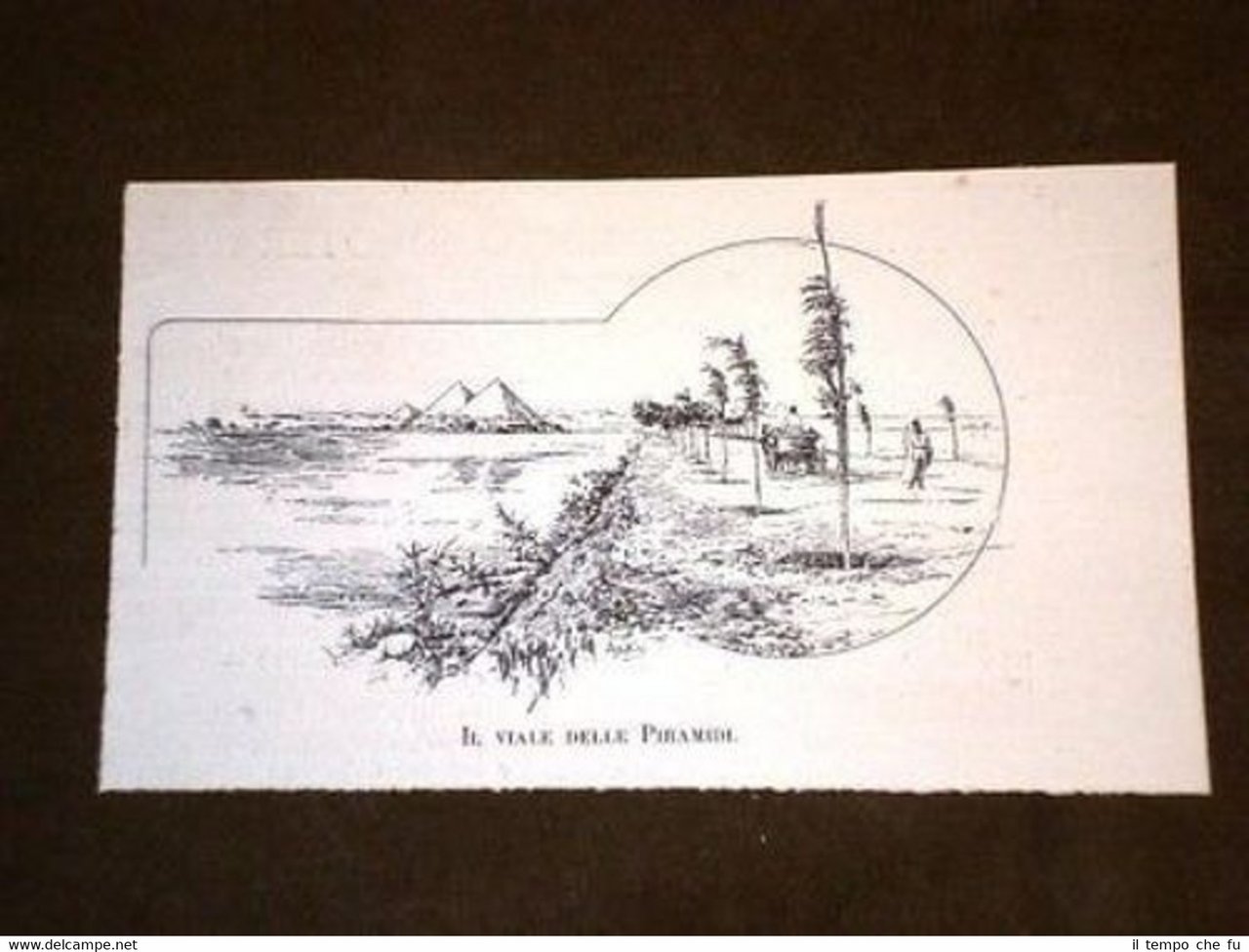 Il Viale delle Piramidi Egitto | Immagine principale
