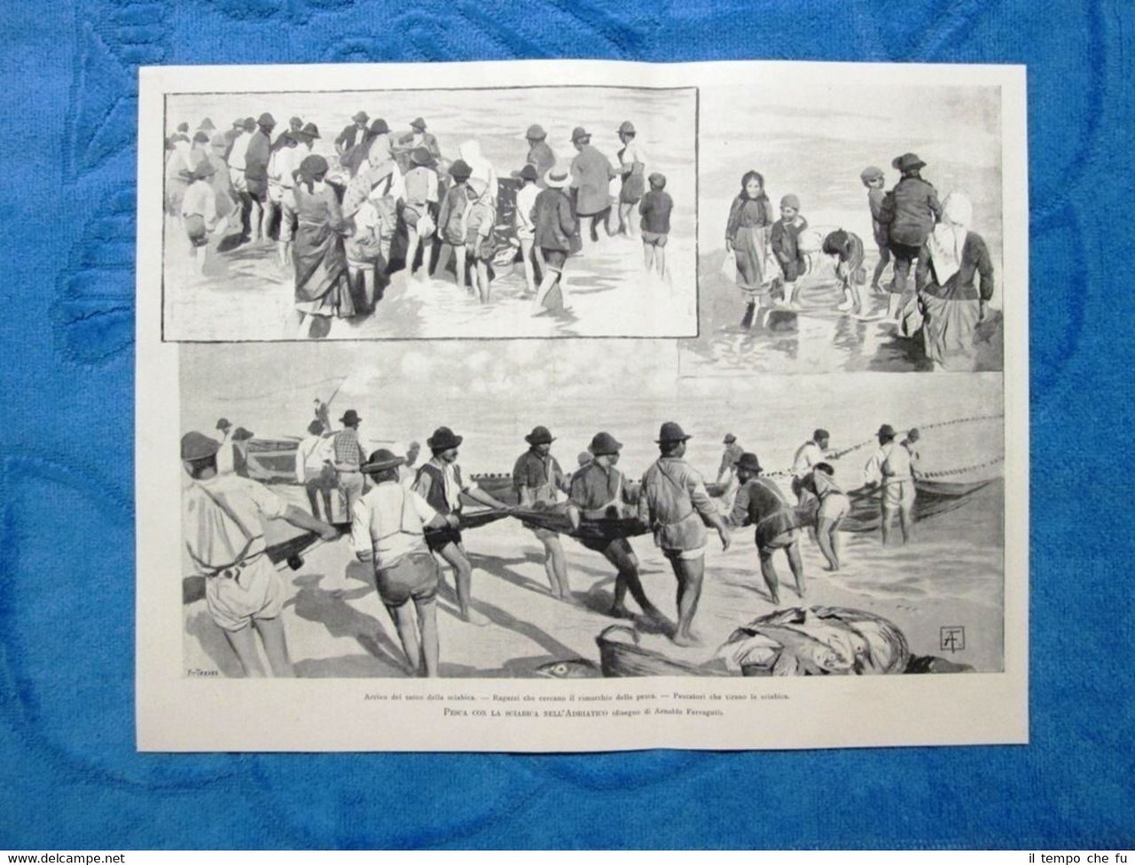 Illustrazione Italiana 1898 - Pesca con la sciabica nell'Adriatico