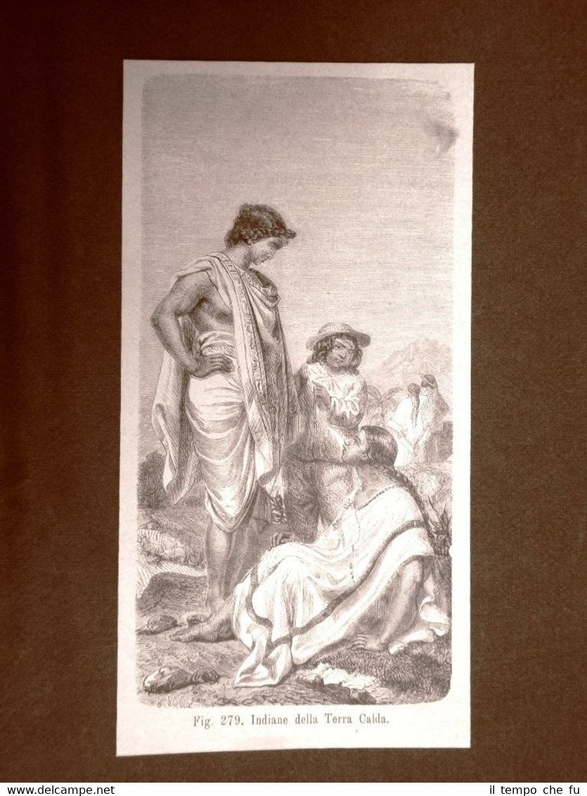 In America nel 1883 Donne Indiane della Terra Calda Indiani