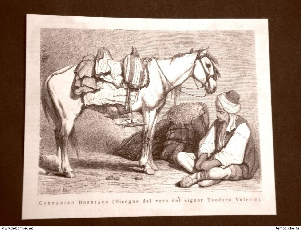 In Bosnia nel 1875 Un contadino col suo cavallo Disegno …