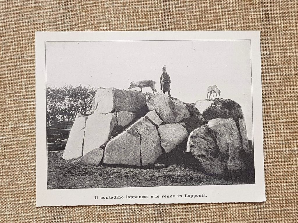 In Lapponia nel 1896 Contadino e renne Europa del Nord