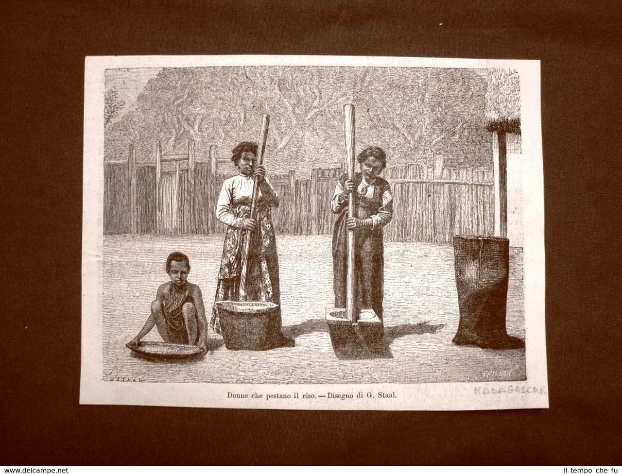 In Madagascar nel 1863 Donne che pestano il riso