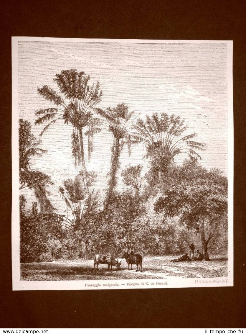 In Madagascar nel 1863 Un paesaggio e Giulietta Fiche | Immagine principale