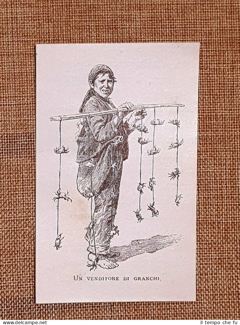 In Sicilia nel 1897 Venditore di granchi Moda e costume …