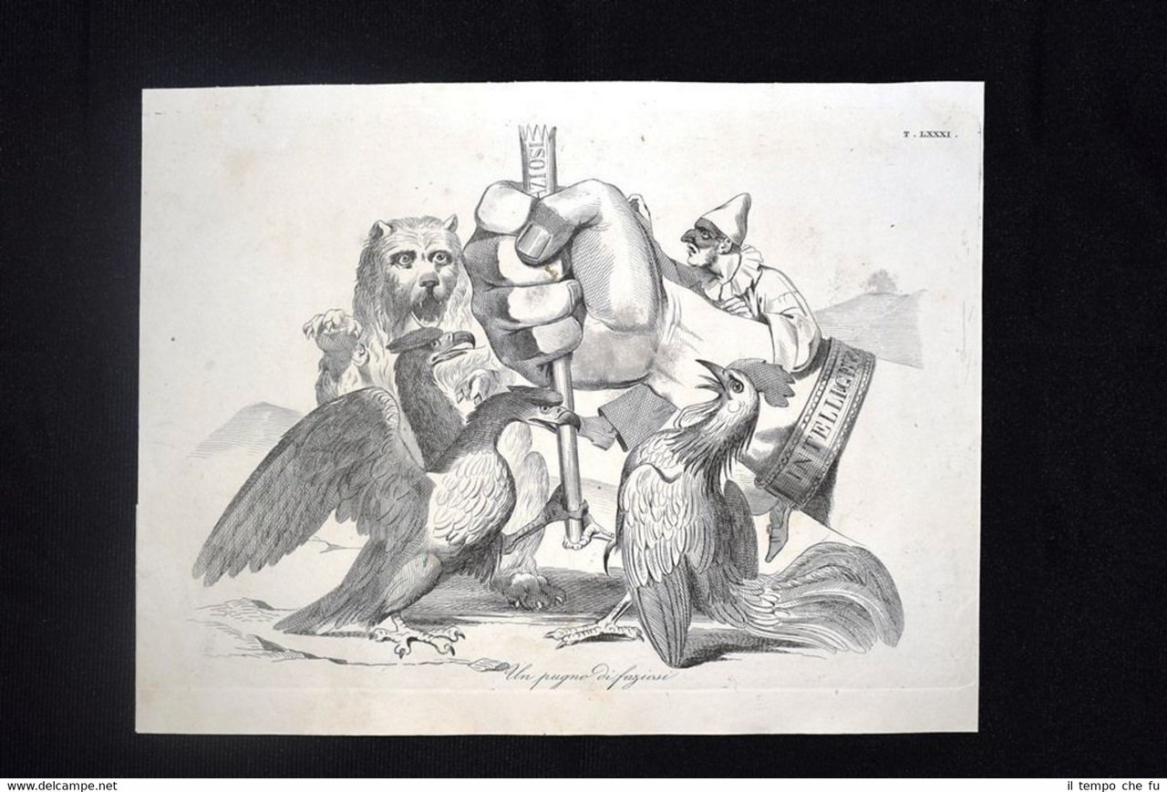 Incisione d'allegoria e satira Austria, Due Sicilie, Francia Don Pirlone …