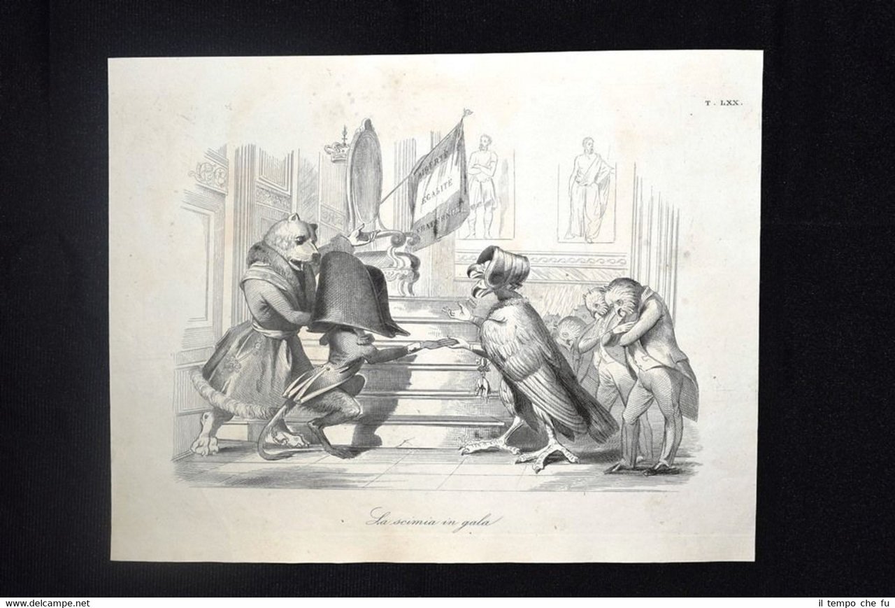 Incisione d'allegoria e satira Elezione Napoleone III, Francia Don Pirlone …