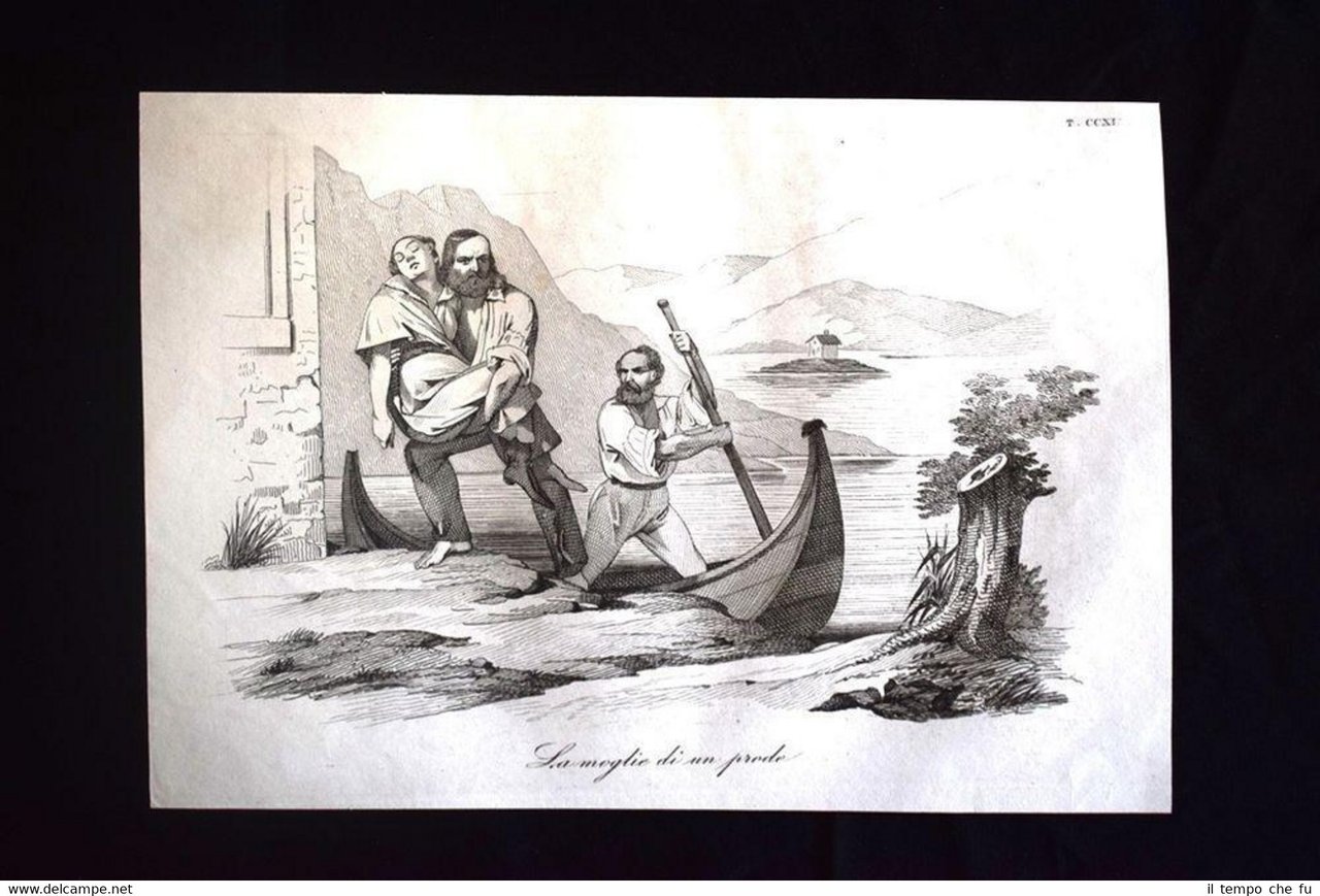 Incisione d'allegoria e satira La morte di Anita Garibaldi Don …