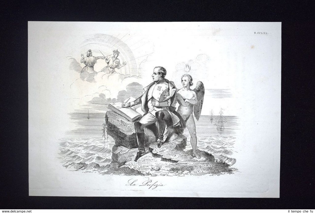 Incisione d'allegoria e satira Profezia di Napoleone Bonaparte Don Pirlone …