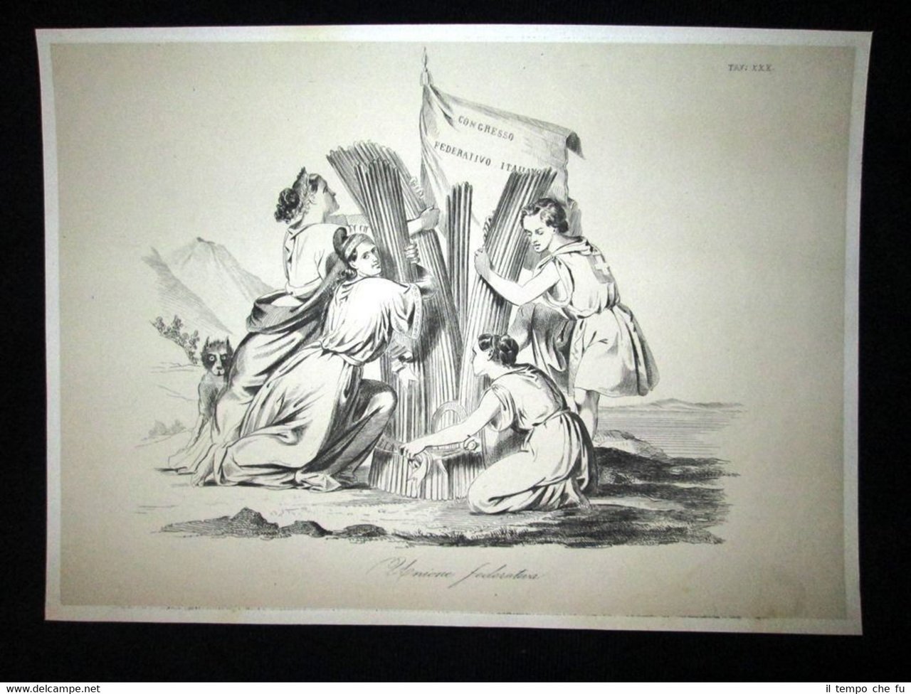 Incisione d'allegoria e satira Roma,Venezia,Toscana,Piemonte Don Pirlone 1851