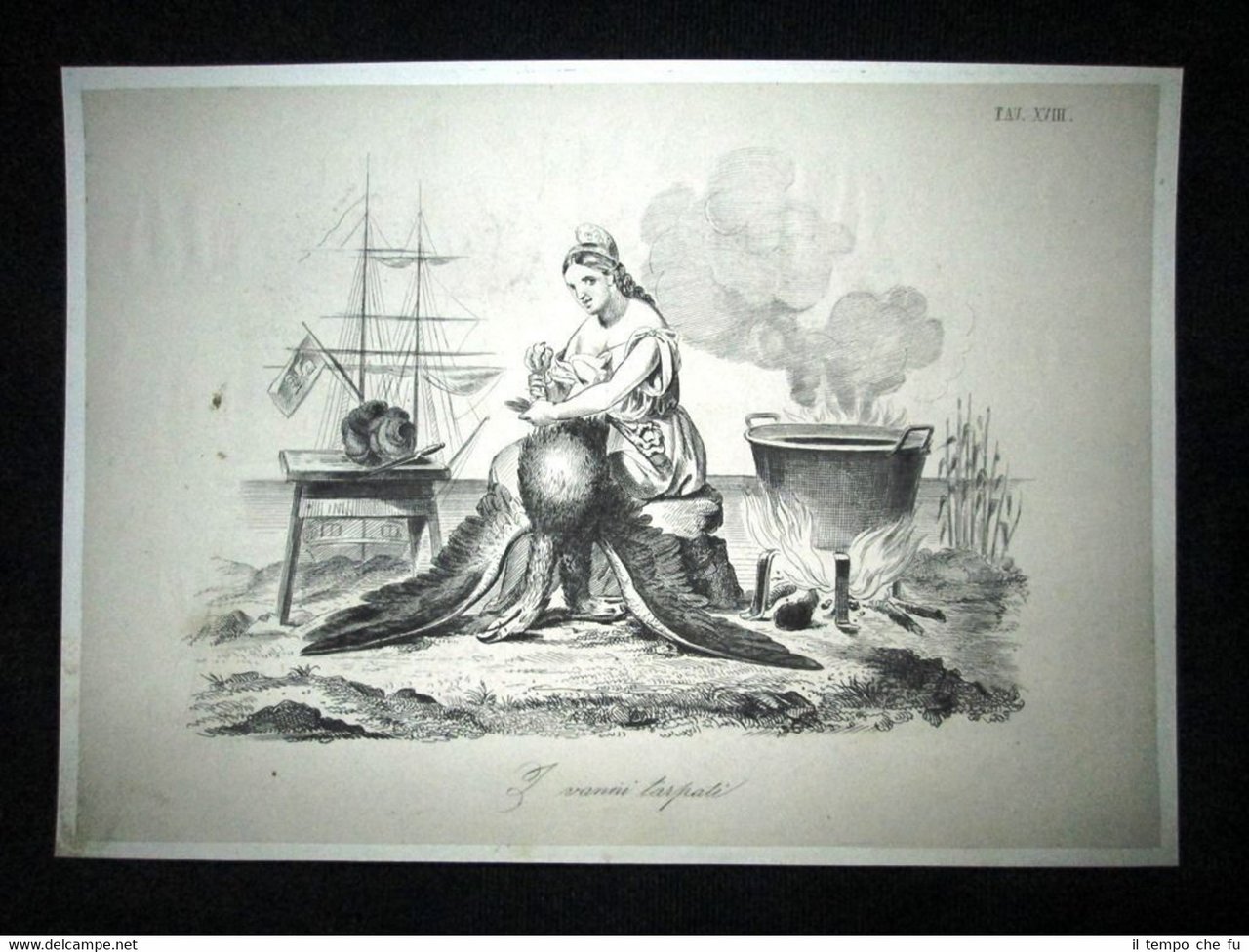 Incisione d'allegoria e satira Venezia, Austria, Italia Don Pirlone 1851