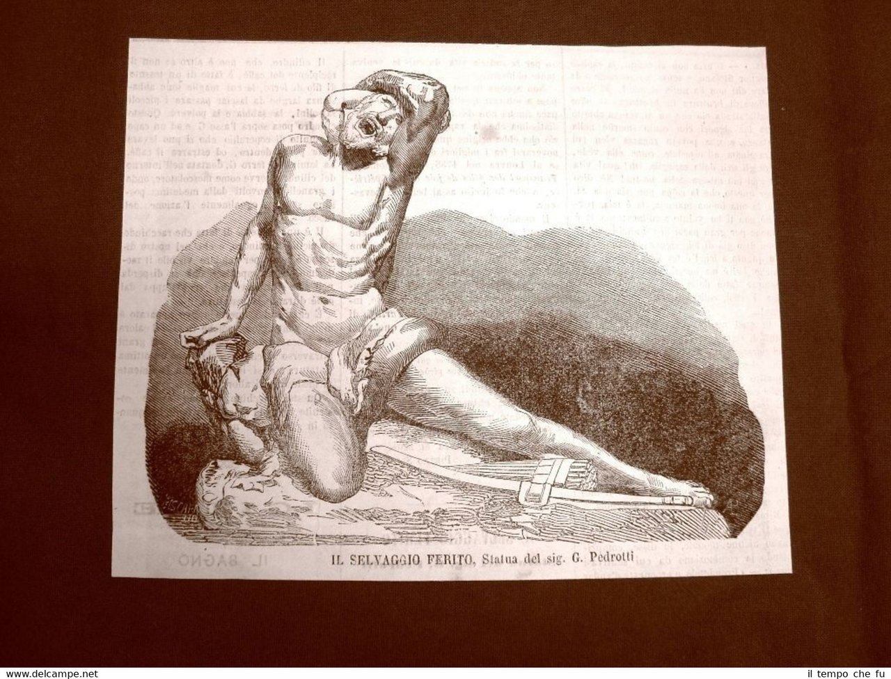 Incisione del 1865 Il selvaggio ferito Statua di G. Pedrotti | Immagine principale