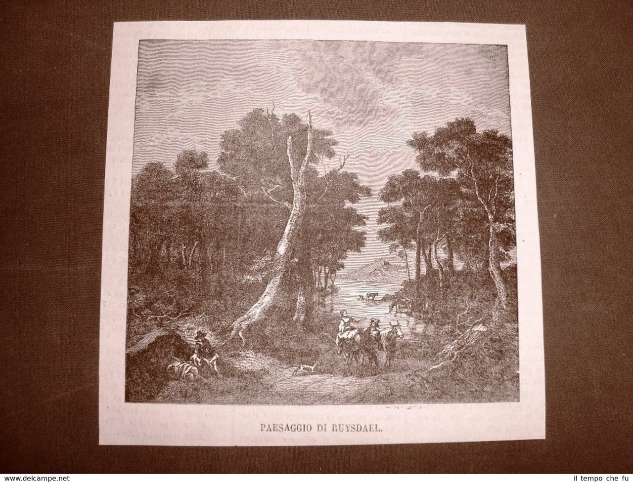 Incisione del 1866 Paesaggio di Ruysdael