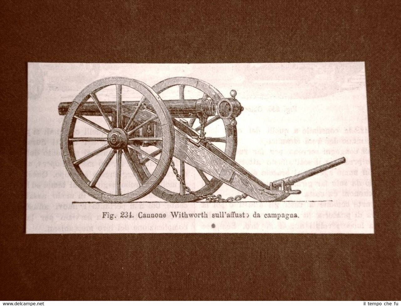 Incisione del 1875 Armi e Artiglieria Cannone Withworth sull'affusto da … | Immagine principale