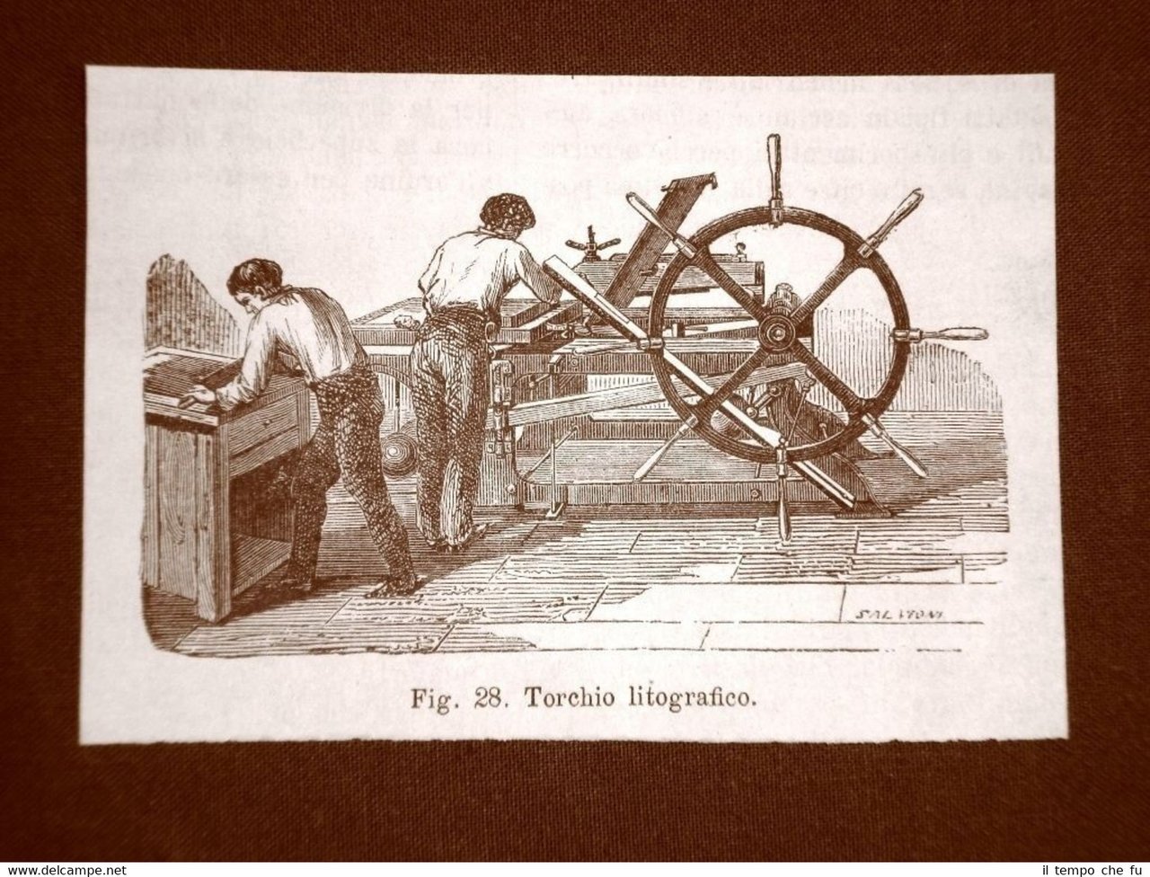 Incisione del 1875 Gli albori della tipografia Torchio litografico