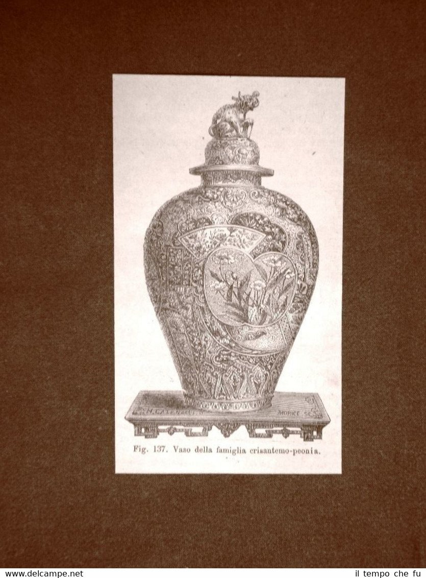 Incisione del 1875 Vaso della Famiglia Crisantemo - peonia