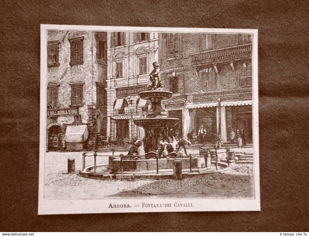Incisione del 1891 Ancona, La fontana dei cavalli - Marche
