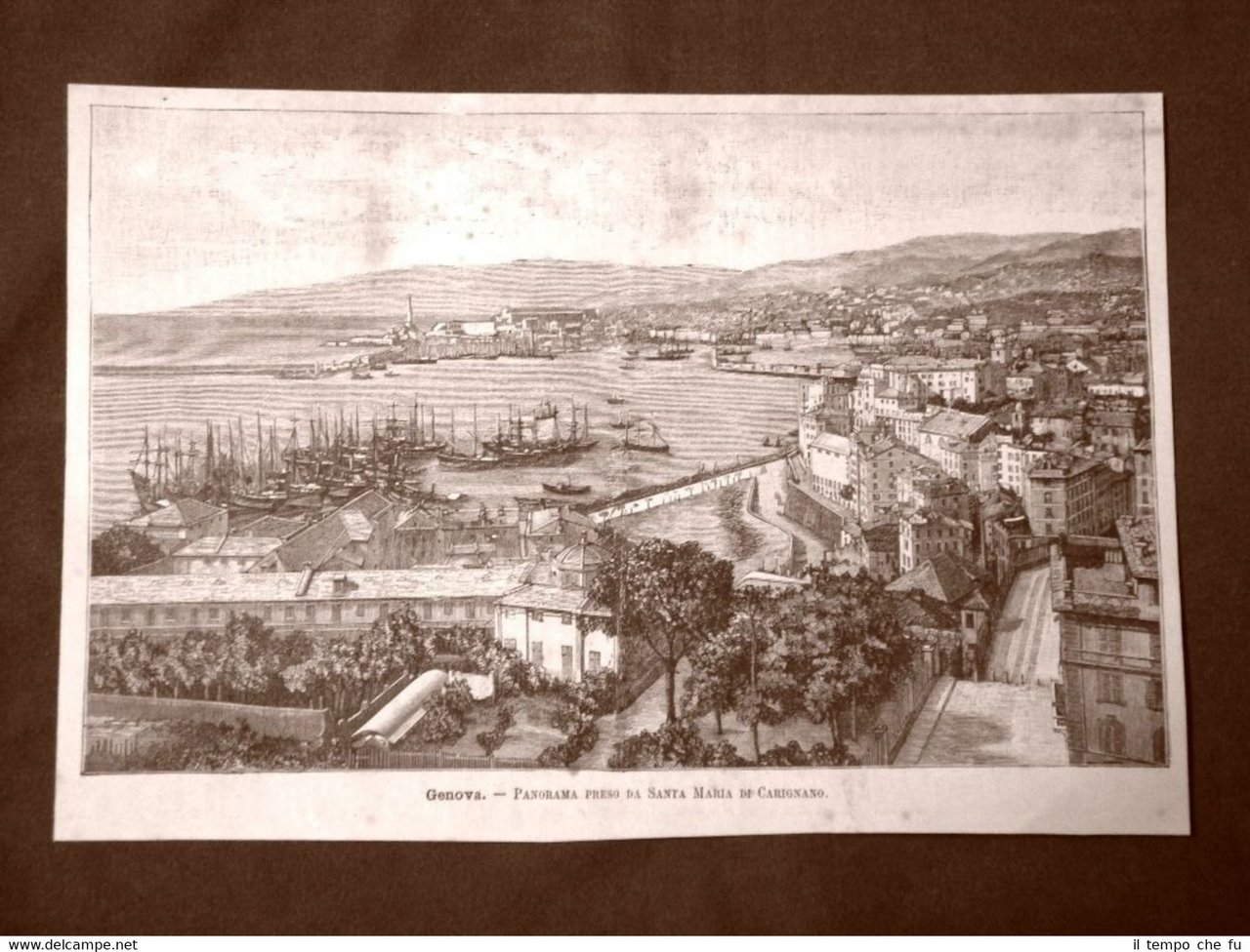Incisione del 1891 Rarissimo panorama di Genova - Liguria