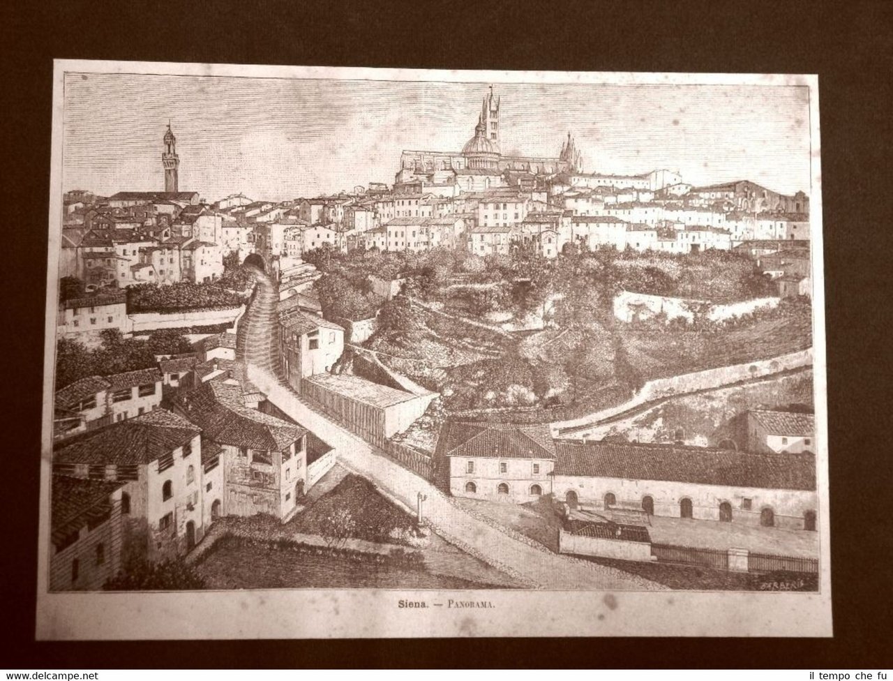 Incisione del 1891 Rarissimo panorama di Siena - Toscana