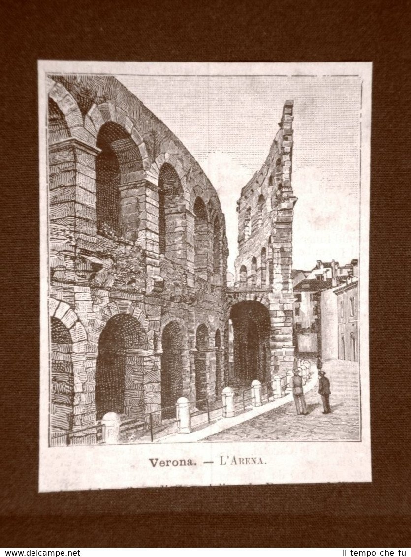 Incisione del 1891 Verona, L'Arena - Veneto | Immagine principale