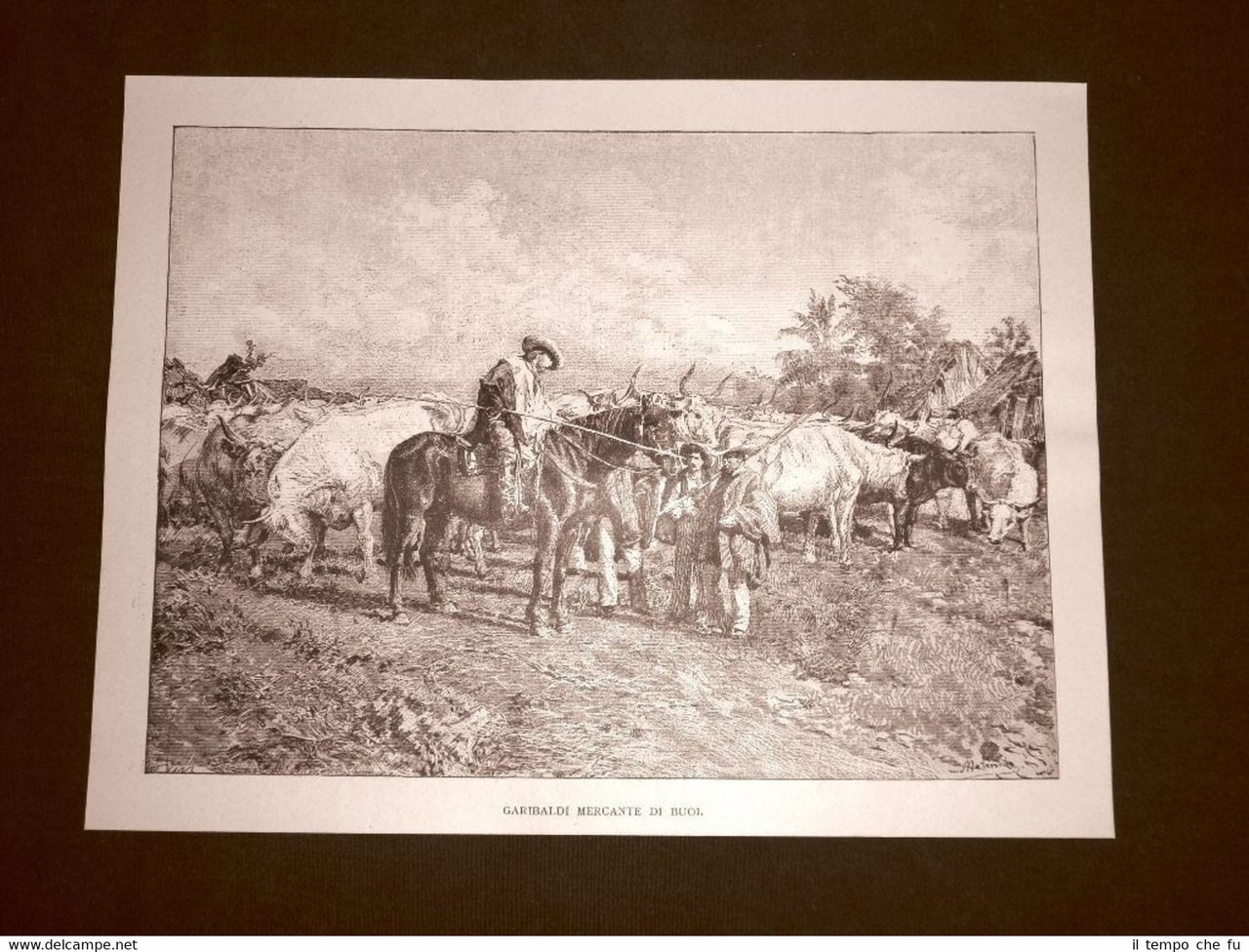 Incisione del 1892 Giuseppe Garibaldi mercante di buoi