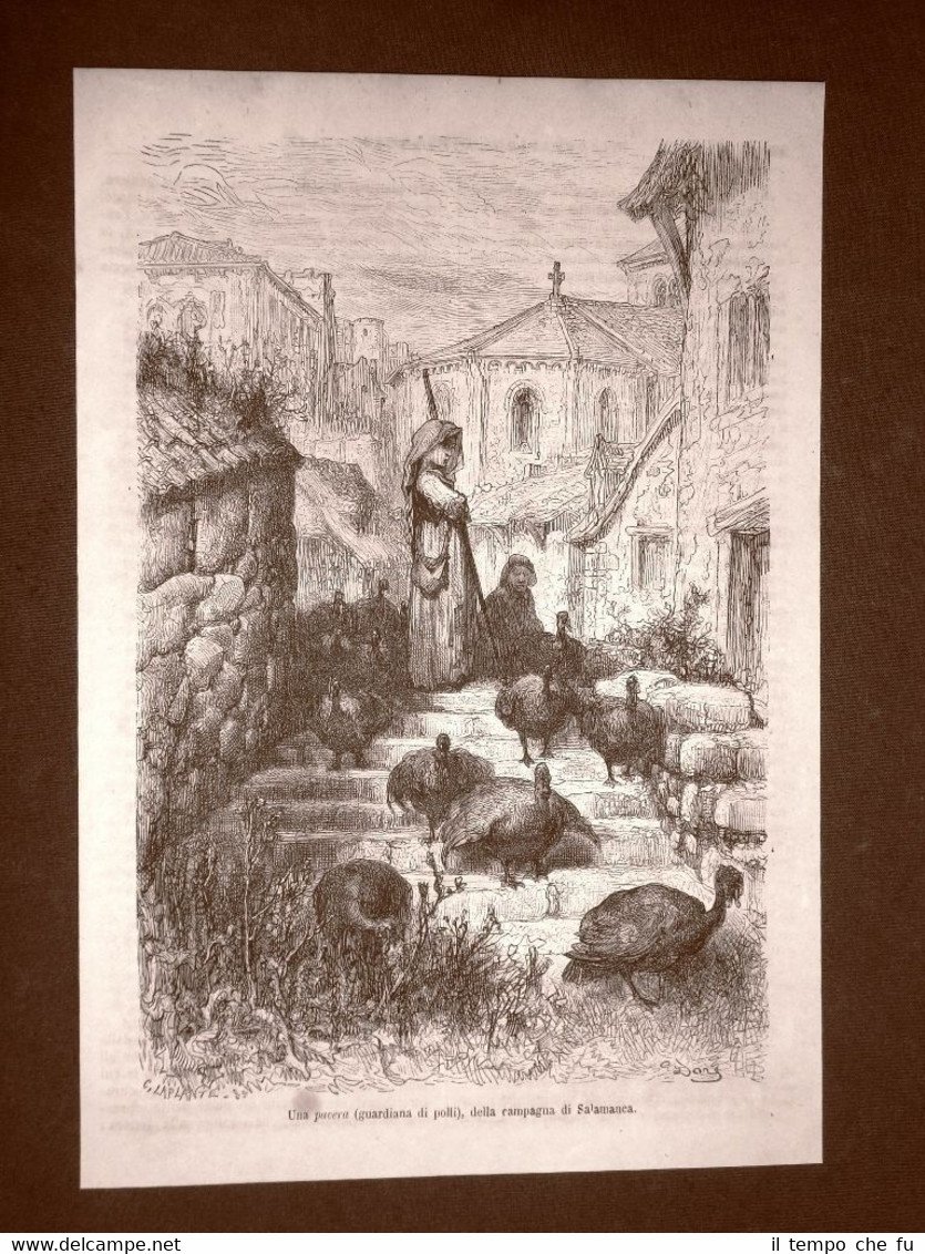 Incisione di Gustave Dorè del 1874 Pavera o guardiana di … | Immagine principale