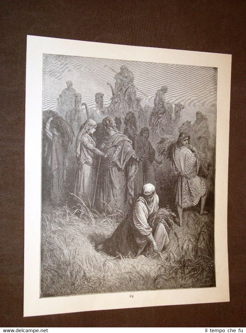 Incisione di Gustave Dorè del 1880 Bibbia Booz e Ruth …